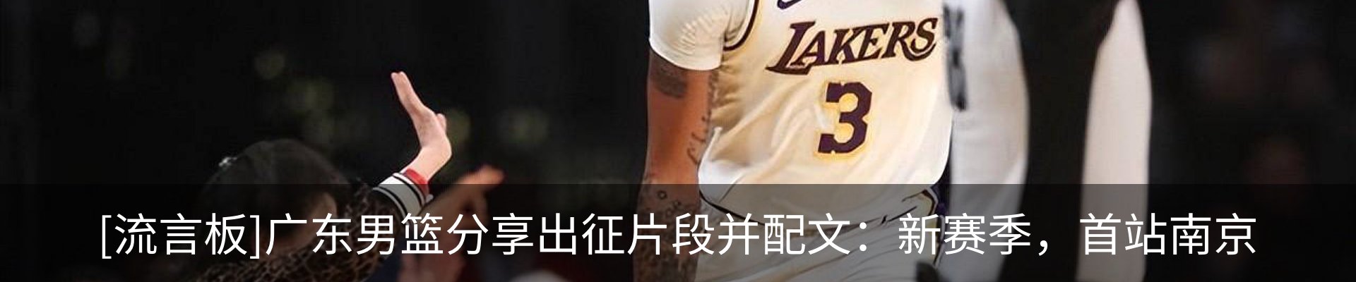 最新动态